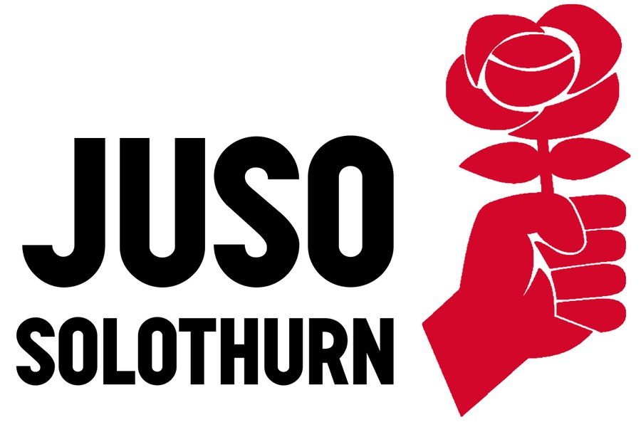 Unser Wahlprogramm für die Kantonsratswahlen