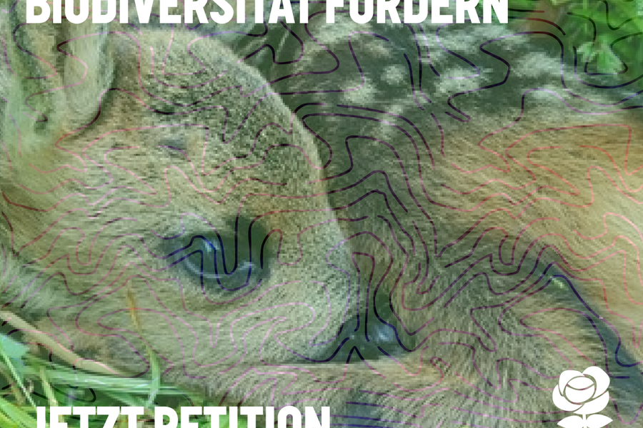 Rehkitzrettung sichern- Biodiversität fördern